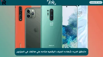 «تحقق الآن» شهادة الميلاد الرقمية متاحة على هاتفك في الجزائر